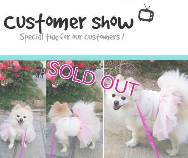 画像15: 【新作】【犬 服】リボンとポンポンのチュチュワンピース【PetMan】【メール便OK】