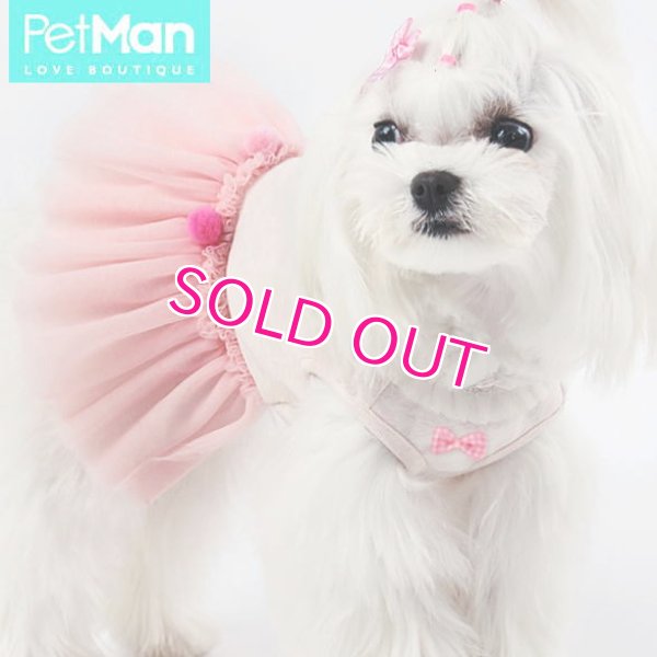 画像4: 【新作】【犬 服】リボンとポンポンのチュチュワンピース【PetMan】【メール便OK】