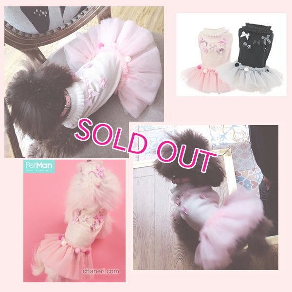 画像16: 【新作】【犬 服】リボンとポンポンのチュチュワンピース【PetMan】【メール便OK】