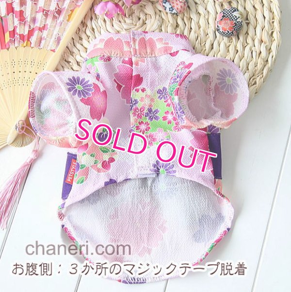 画像8: 【新作】【犬 服】【Sale】【1580円】【帯飾り付】オシャレ桜ゆかた【Petstyle】【メール便OK】