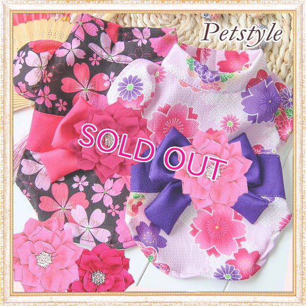 画像1: 【新作】【犬 服】【Sale】【1580円】【帯飾り付】オシャレ桜ゆかた【Petstyle】【メール便OK】