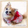 画像7: 【新作】【犬 服】【Sale】【1580円】【帯飾り付】可愛い梅の花ゆかた【Petstyle】【メール便OK】