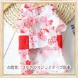 画像6: 【犬 服】【Sale】【帯飾り付】可愛い梅の花ゆかた【Petstyle】浴衣　和装　着物【メール便OK】