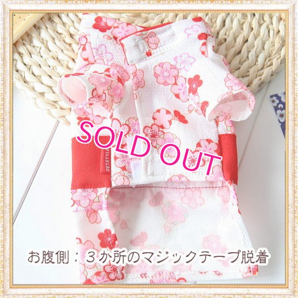 画像11: 在庫限り【XS】【犬 服】【Sale】【帯飾り付】可愛い梅の花ゆかた【Petstyle】浴衣　和装　着物【メール便OK】