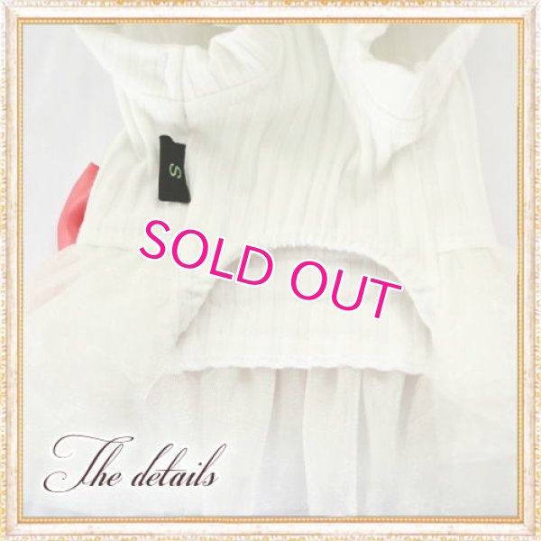 画像11: 【秋冬新作】【XS】【S】【犬 服】超小型犬のリボンのチュチュワンピース【AIPET】【メール便OK】