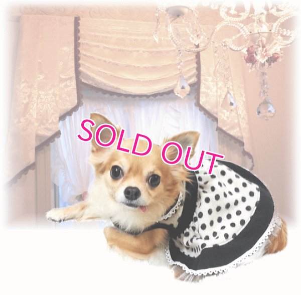 画像7: 【再入荷】秋冬春/愛犬服/水玉のカメオドレス【メール便OK】