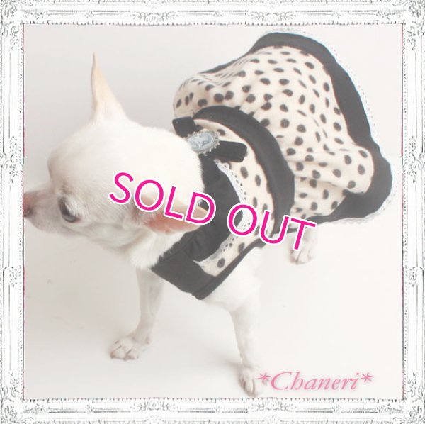 画像8: 【再入荷】秋冬春/愛犬服/水玉のカメオドレス【メール便OK】