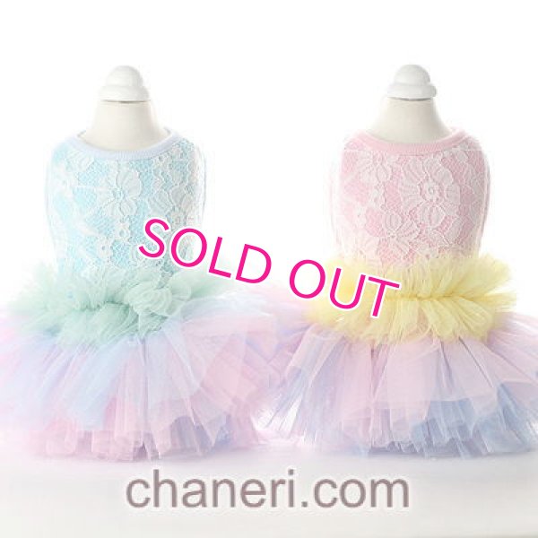 画像15: 【新作】【Sale】【1980円】【犬 服】豪華なレーシーチュチュドレス【メール便OK】