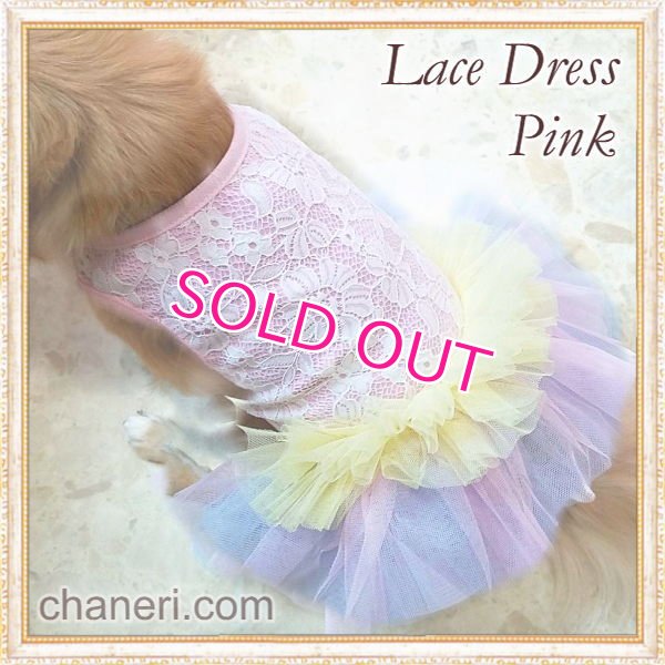 画像10: 【新作】【Sale】【1980円】【犬 服】豪華なレーシーチュチュドレス【メール便OK】