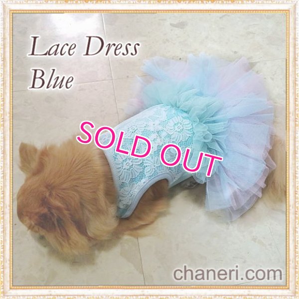 画像9: 【新作】【Sale】【1980円】【犬 服】豪華なレーシーチュチュドレス【メール便OK】