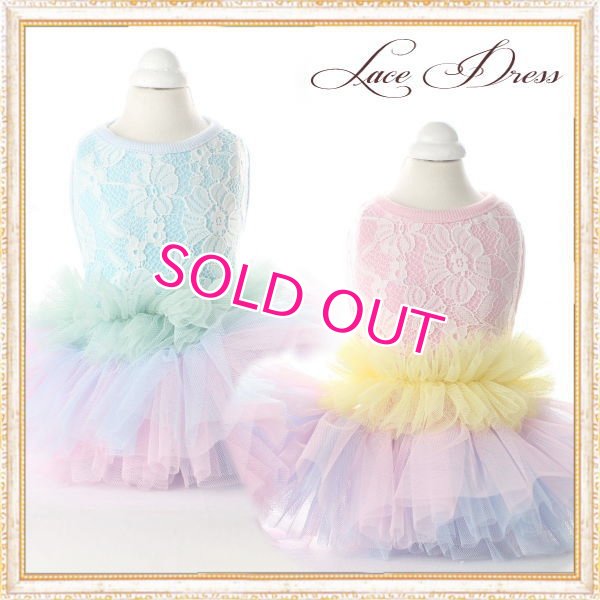 画像2: 【新作】【Sale】【1980円】【犬 服】豪華なレーシーチュチュドレス【メール便OK】