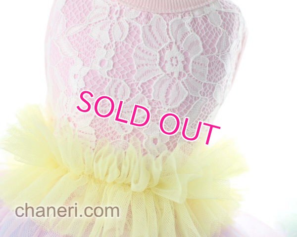 画像14: 【新作】【Sale】【1980円】【犬 服】豪華なレーシーチュチュドレス【メール便OK】