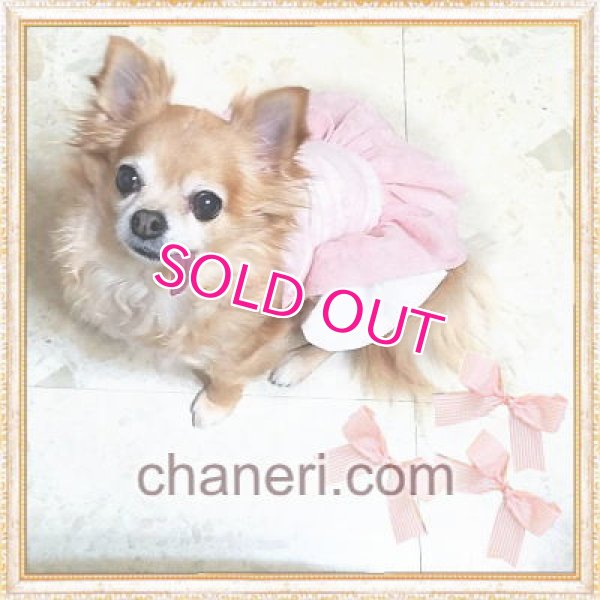 画像8: 【新作】【春夏】【1580円】【犬 服】ローズ柄チュールのキャミワンピース【Petstyle】【メール便OK】