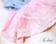 画像11: 【犬 服】【sale】【春夏】コサージュ付ベアちゃんのレースワンピース【メール便OK】