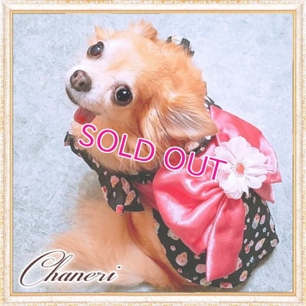 画像3: 【新作】【犬 服】【1580円】【帯飾り付】可愛いスイーツ柄のフリル袖ゆかた【メール便OK】