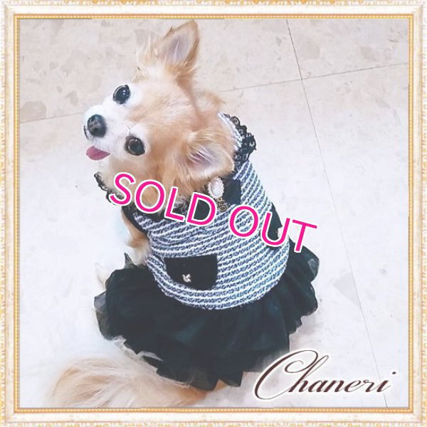 画像3: 【犬 服】【新作】【1780円】お襟付 Coco調ツイード ボーダー ワンピース 揺れるチャーム付 パール No.5 秋冬【メール便OK】