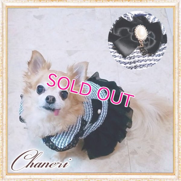 画像2: 【犬 服】【新作】【1780円】お襟付 Coco調ツイード ボーダー ワンピース 揺れるチャーム付 パール No.5 秋冬【メール便OK】
