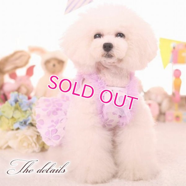 画像11: 犬 服 犬の服 ドッグウェア ワンピース ワンピ 春 夏 新作 MKO フラワー レース チュチュ Dress【メール便可】