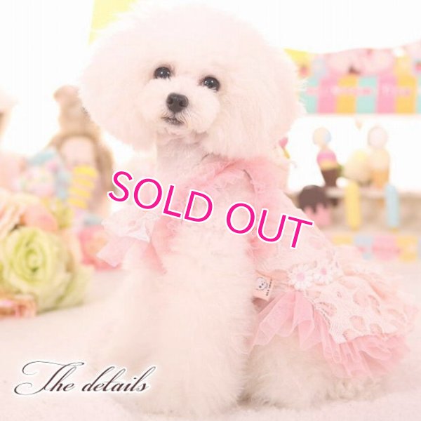 画像7: 犬 服 犬の服 ドッグウェア ワンピース ワンピ 春 夏 新作 MKO フラワー レース チュチュ Dress【メール便可】