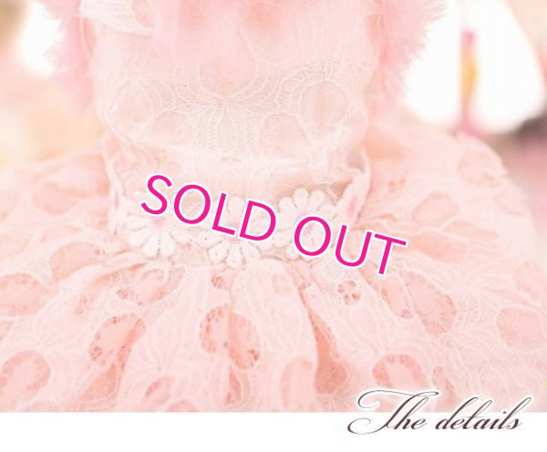 画像13: 犬 服 犬の服 ドッグウェア ワンピース ワンピ 春 夏 新作 MKO フラワー レース チュチュ Dress【メール便可】