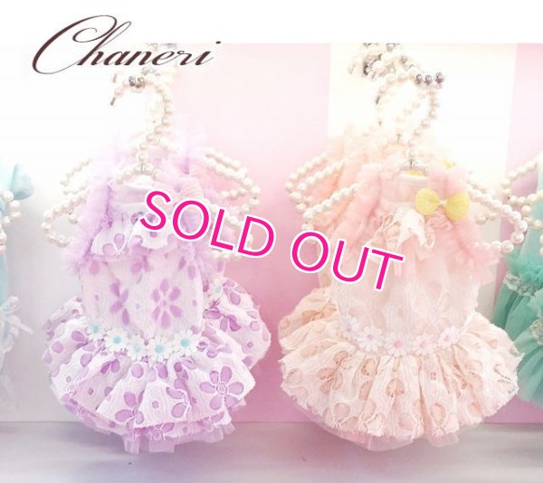 画像5: 犬 服 犬の服 ドッグウェア ワンピース ワンピ 春 夏 新作 MKO フラワー レース チュチュ Dress【メール便可】