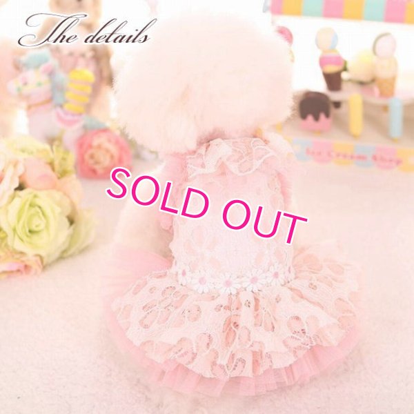 画像6: 犬 服 犬の服 ドッグウェア ワンピース ワンピ 春 夏 新作 MKO フラワー レース チュチュ Dress【メール便可】