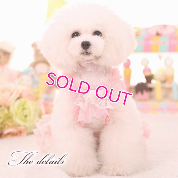 画像8: 犬 服 犬の服 ドッグウェア ワンピース ワンピ 春 夏 新作 MKO フラワー レース チュチュ Dress【メール便可】