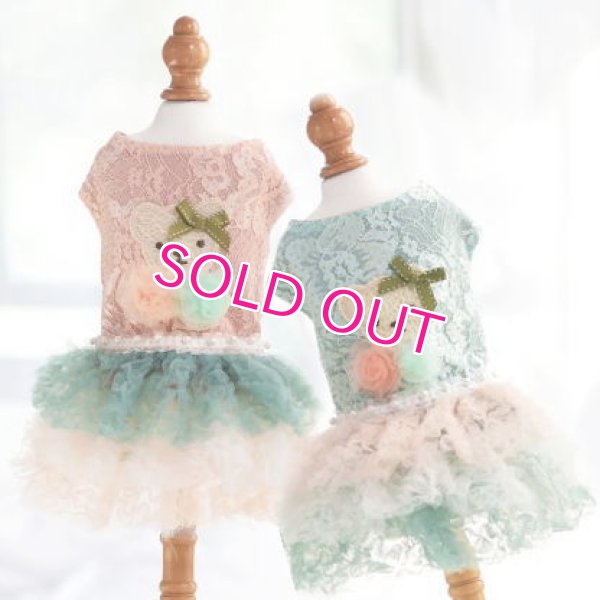 画像4: 犬 服 犬の服 Sale ドッグウェア ワンピース ドレス  セレブベアちゃんのレーシーチュチュDress【メール便可】パーティー イベント