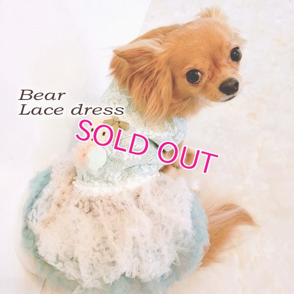 画像9: 犬 服 犬の服 Sale ドッグウェア ワンピース ドレス  セレブベアちゃんのレーシーチュチュDress【メール便可】パーティー イベント