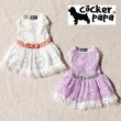 画像13: 愛犬の服【再入荷】ラグジュアリーリボンベルトのレースワンピース【cockerpapa】