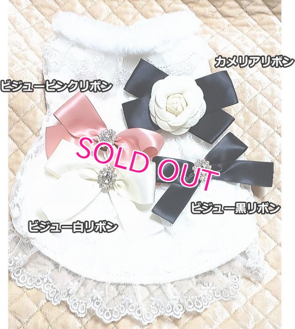 画像8: 愛犬服【初入荷】リボン付き　ホワイトレースのCoat dress【メール便OK】