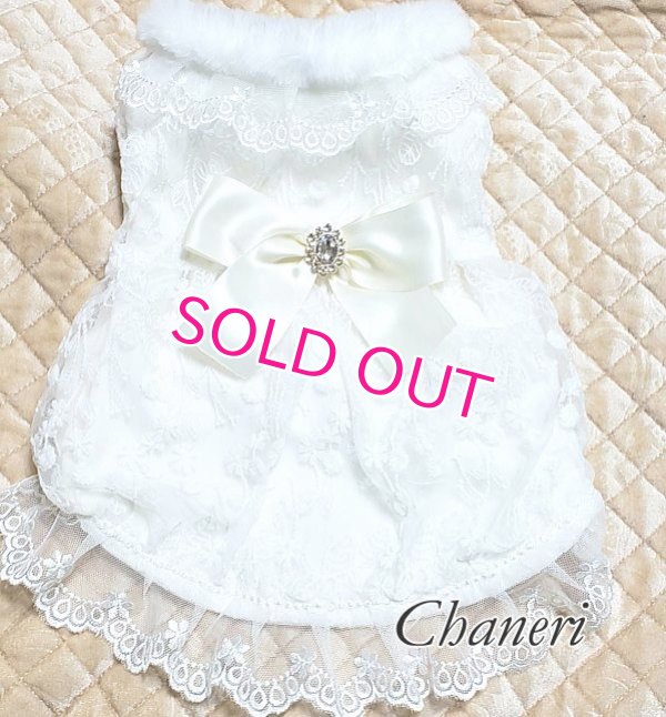 画像4: 愛犬服【初入荷】リボン付き　ホワイトレースのCoat dress【メール便OK】