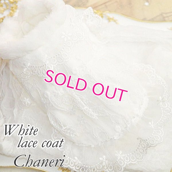 画像9: 愛犬服【初入荷】リボン付き　ホワイトレースのCoat dress【メール便OK】