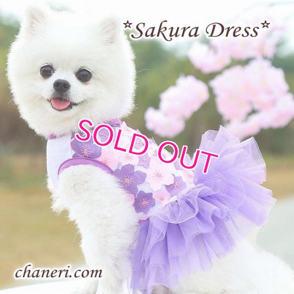 画像6:  【犬 服】【sale】【春夏】Sakuraモチーフチュチュフリルのワンピース【メール便OK】