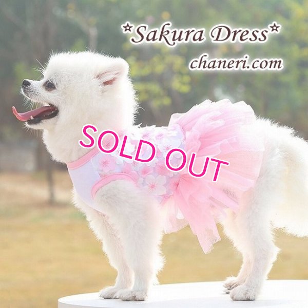 画像20:  【犬 服】【sale】【春夏】Sakuraモチーフチュチュフリルのワンピース【メール便OK】