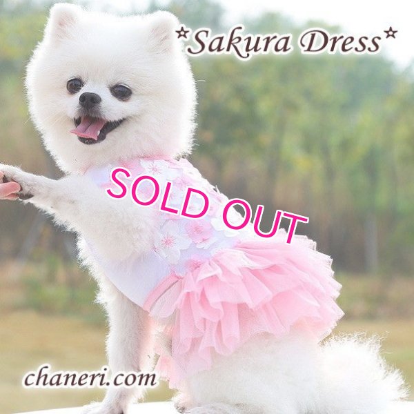 画像4:  【犬 服】【sale】【春夏】Sakuraモチーフチュチュフリルのワンピース【メール便OK】