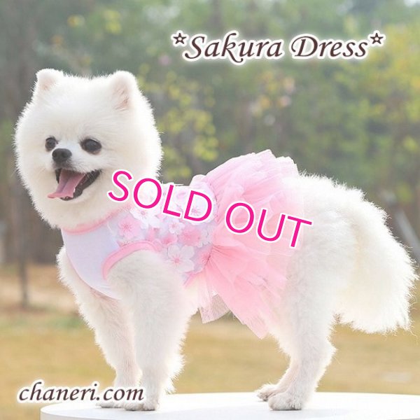 画像5:  【犬 服】【sale】【春夏】Sakuraモチーフチュチュフリルのワンピース【メール便OK】