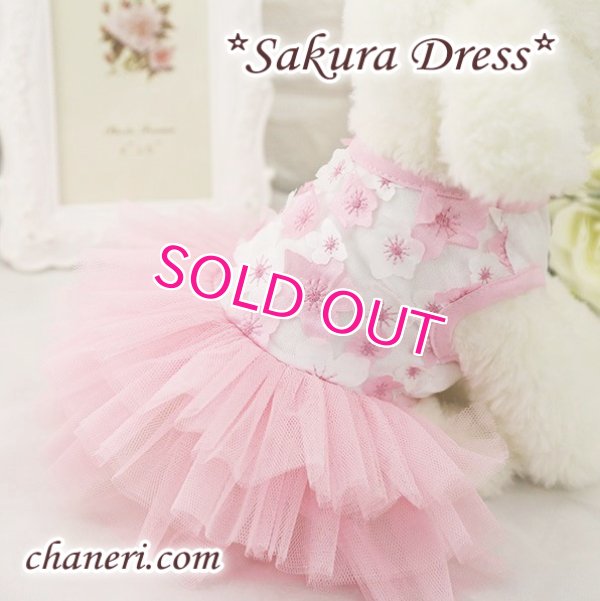 画像10:  【犬 服】【sale】【春夏】Sakuraモチーフチュチュフリルのワンピース【メール便OK】