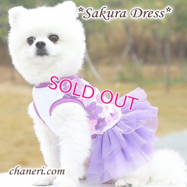 画像7:  【犬 服】【sale】【春夏】Sakuraモチーフチュチュフリルのワンピース【メール便OK】