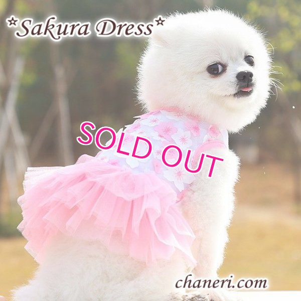 画像15:  【犬 服】【sale】【春夏】Sakuraモチーフチュチュフリルのワンピース【メール便OK】