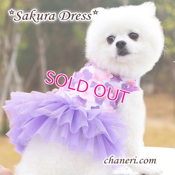 画像16:  【犬 服】【sale】【春夏】Sakuraモチーフチュチュフリルのワンピース【メール便OK】