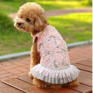 画像: 愛犬の服/シフォンとパールフリルのラグジュアリーdress【cockerpapa】