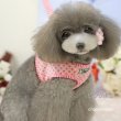 画像8: 【在庫限りSale】Cuteな水玉のハーネス＆リードセット【Brothercatdog】ピンク/イエロー/パープル【メール便OK】