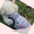 画像8: 【初入荷】【犬 服】【Sale】【1280円】CuteなメッシュTEE【メール便OK】