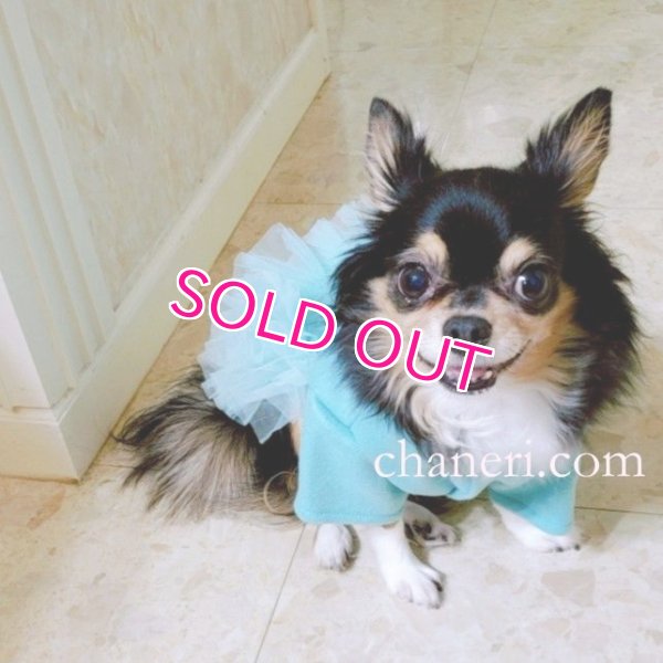 画像5: 犬 服 犬の服【在庫sale】【限定販売】ティファニーブルー の チュチュDress【メール便可】パーティー イベントセレクト import