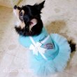 画像12: 犬 服 犬の服【秋冬】【限定販売】ティファニーブルー の チュチュDress【メール便可】パーティー イベントセレクト import