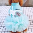 画像2: 犬 服 犬の服【在庫sale】【限定販売】ティファニーブルー の チュチュDress【メール便可】パーティー イベントセレクト import