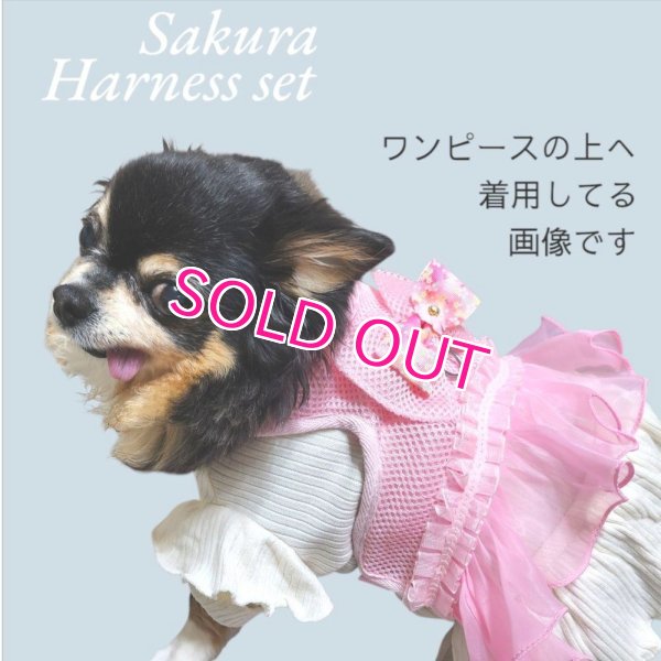 画像7: 愛犬用 犬服 ペット用 ハーネス SET 豪華 フリル ハーネス リード セット キラキラ 桜 ピンク メール便発送