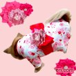 画像14: 在庫限り【XS】【犬 服】【Sale】【帯飾り付】可愛い梅の花ゆかた【Petstyle】浴衣　和装　着物【メール便OK】