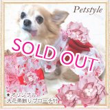 画像: 在庫限り【XS】【犬 服】【Sale】【帯飾り付】可愛い梅の花ゆかた【Petstyle】浴衣　和装　着物【メール便OK】